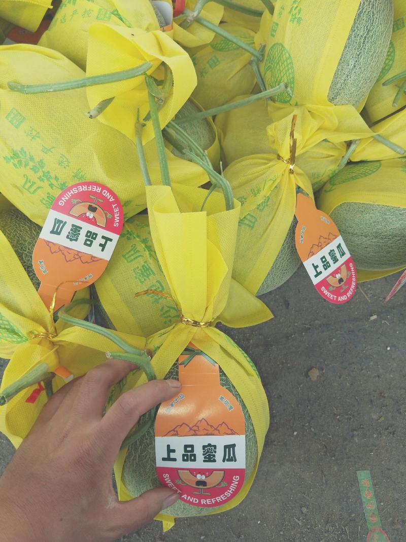 鲁厚甜甜瓜/香甜可口/纹路好/个头匀/超市**/产地直发
