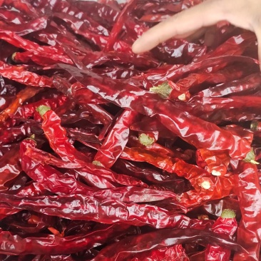 贵州二荆条干辣椒中辣特香辣椒面辣椒段节子辣椒面餐饮商用批