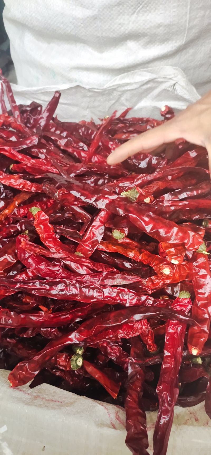 贵州二荆条干辣椒中辣特香辣椒面辣椒段节子辣椒面餐饮商用批