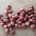 洋葱山东精品红皮黄皮洋葱【圆葱】大量供应