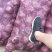 洋葱山东精品红皮黄皮洋葱【圆葱】大量供应