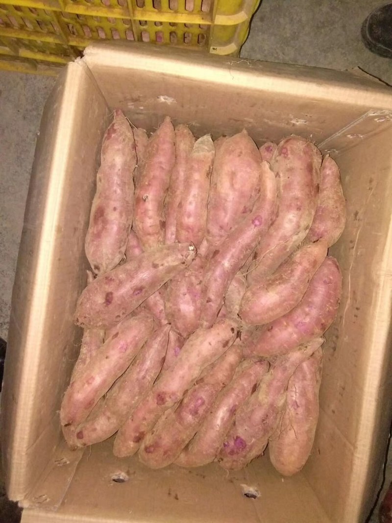 老款一点红非常粉甜。