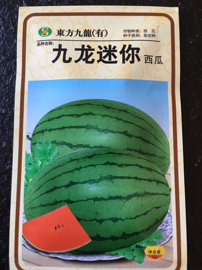 礼品西瓜九龙迷你种子