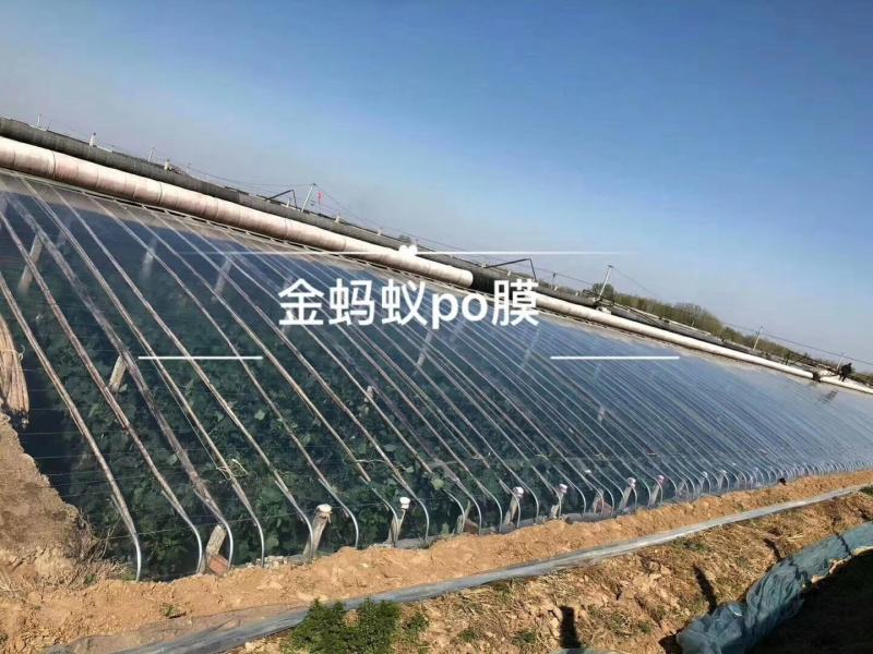 金蚂蚁精品水晶PO膜大棚膜，国内高端产品质量保证