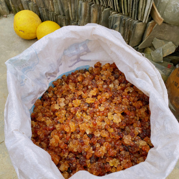助农土特产：连平上坪桃胶
