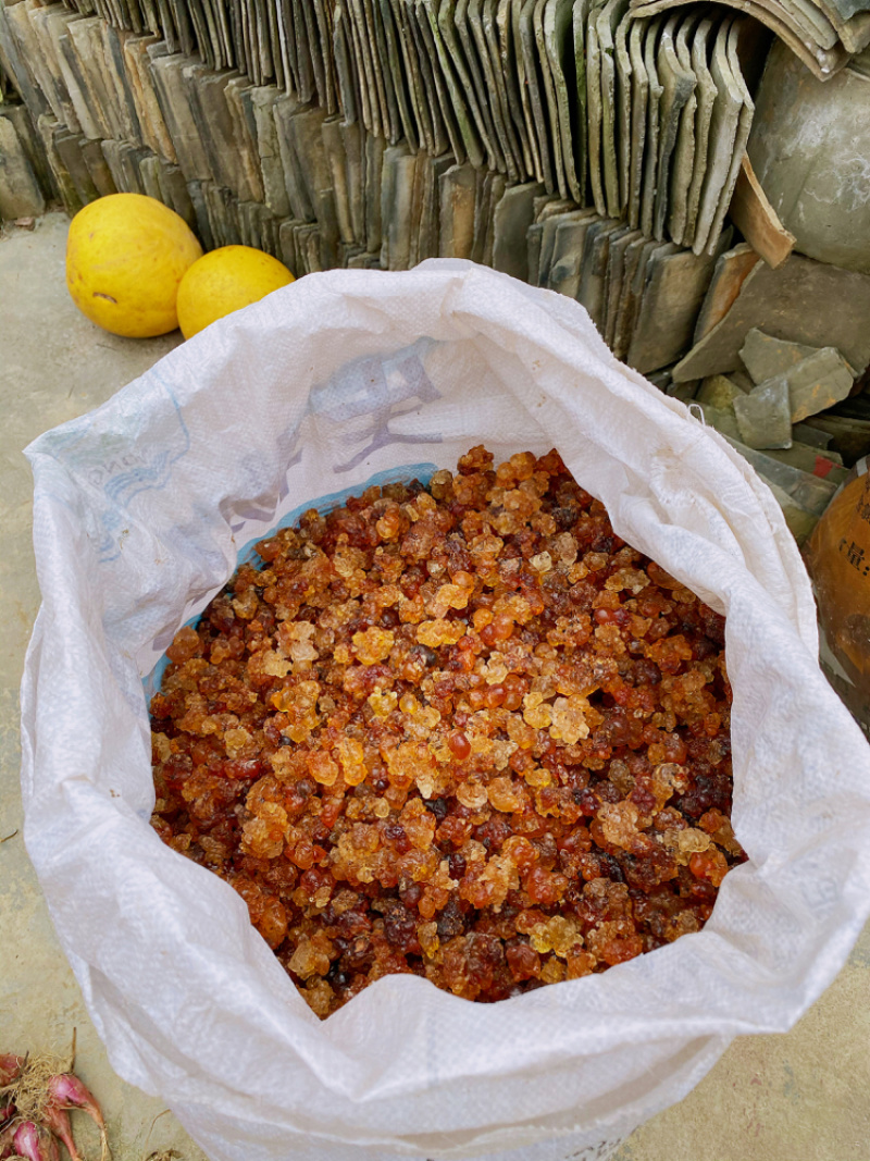 助农土特产：连平上坪桃胶