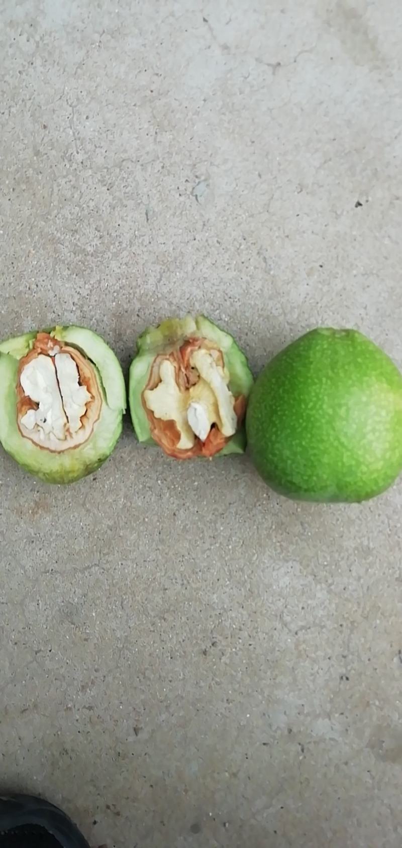 清香辽细大量下货中抓紧预订