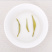 新茶碧螺春茶叶绿茶2026春茶明前一级嫩牙茶浓香500g