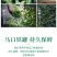 新茶碧螺春茶叶绿茶2026春茶明前一级嫩牙茶浓香500g