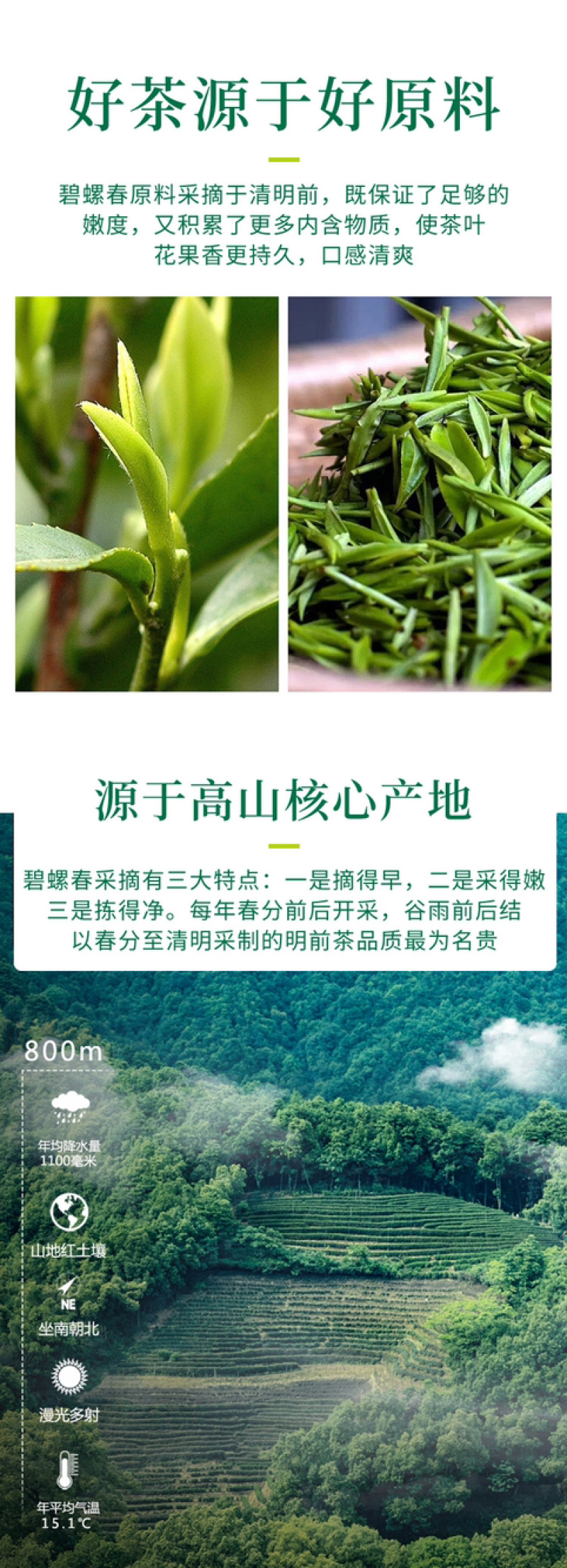 新茶碧螺春茶叶绿茶2026春茶明前一级嫩牙茶浓香500g