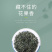 新茶碧螺春茶叶绿茶2026春茶明前一级嫩牙茶浓香500g