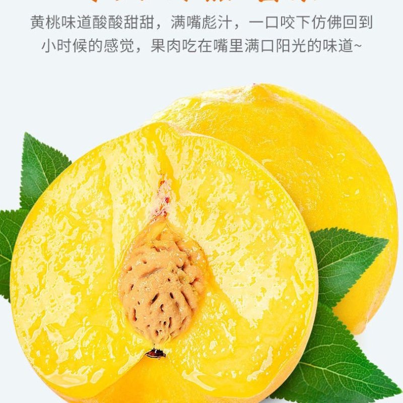 桃苗适合南北方种植，喜欢你可以联系