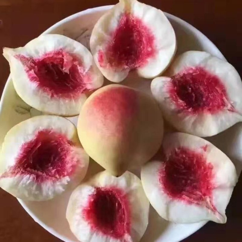 桃苗适合南北方种植，喜欢你可以联系