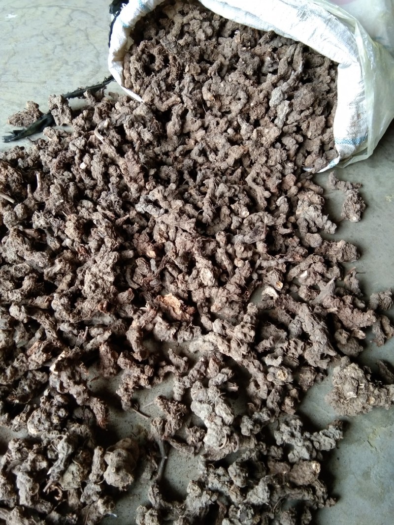 苍术南苍术(野生南苍术)朱砂点多、味浓，产地直销