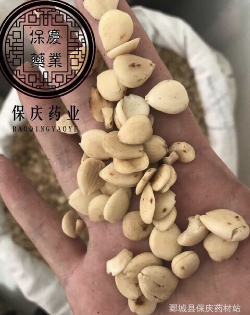 炒杏仁去皮炒杏仁苦杏仁保庆药业批发另有生杏仁联系