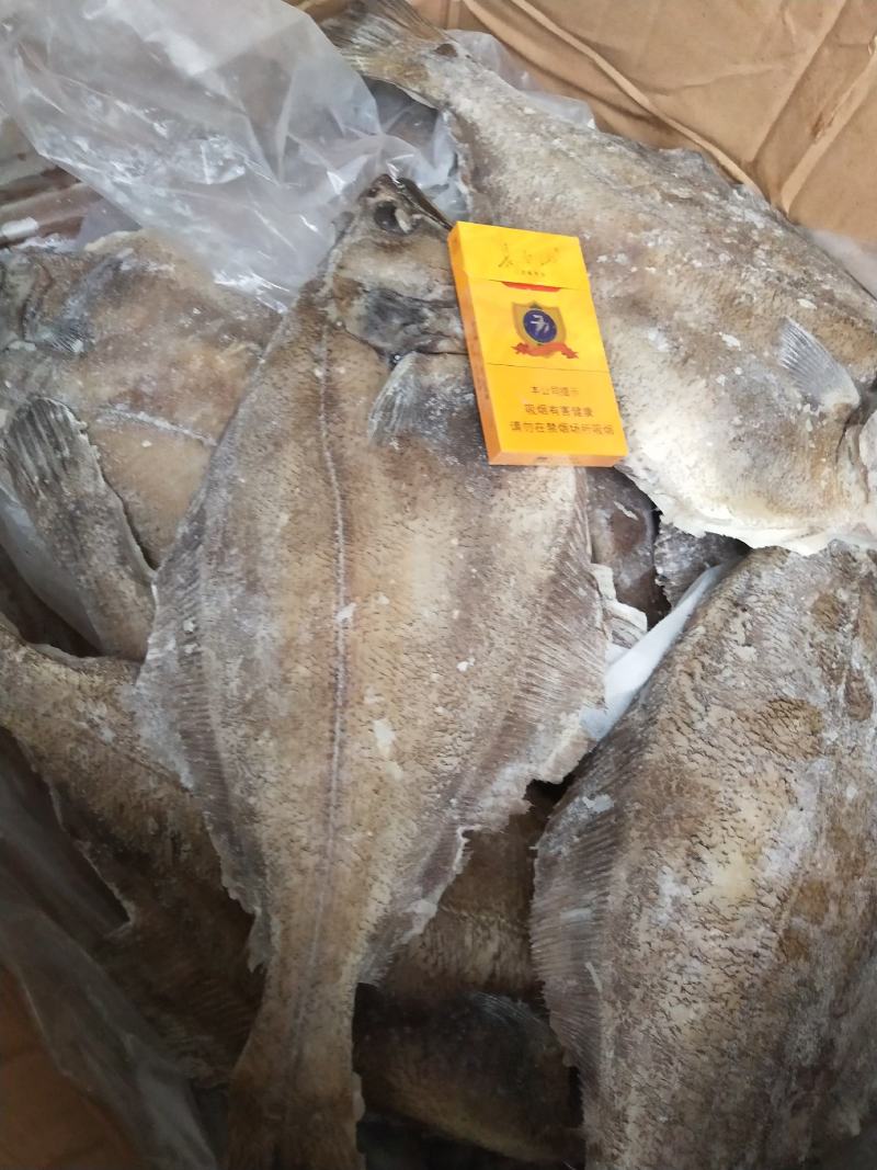 批发各种海蝶鱼系列，