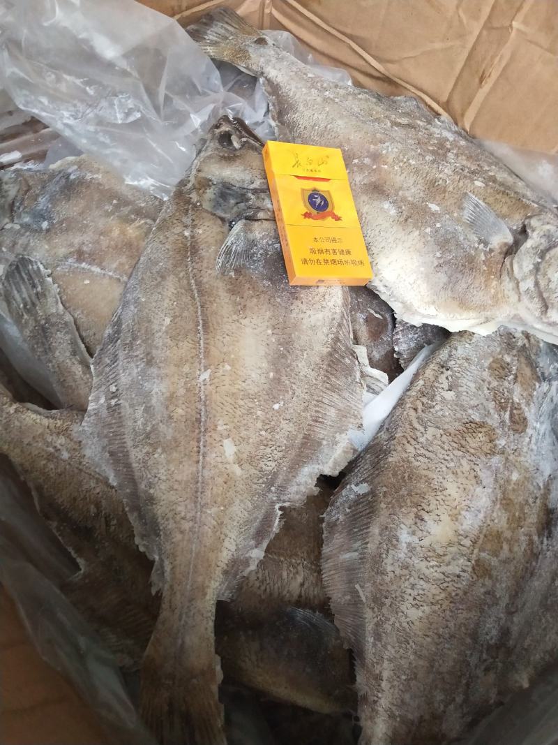 批发各种海蝶鱼系列，