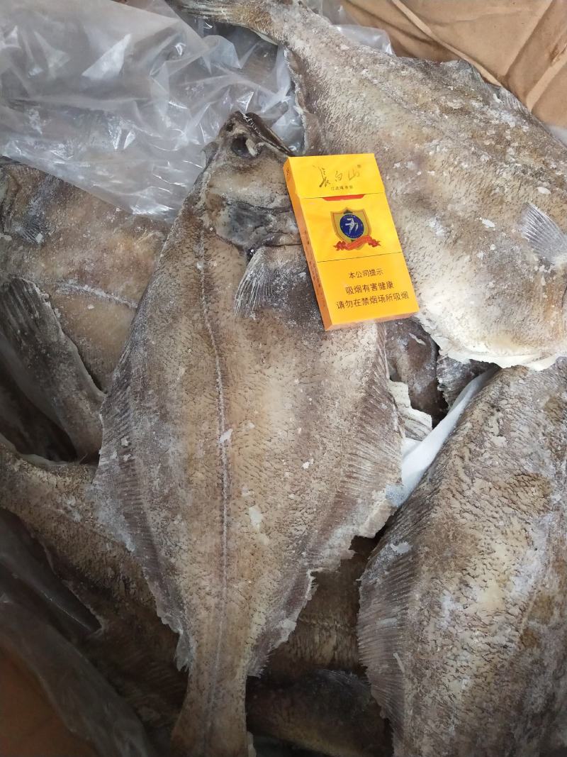 批发各种海蝶鱼系列，