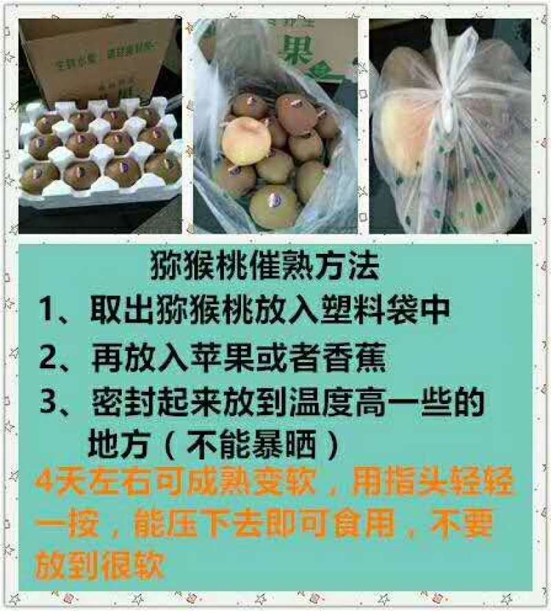 徐香猕猴桃90~110克