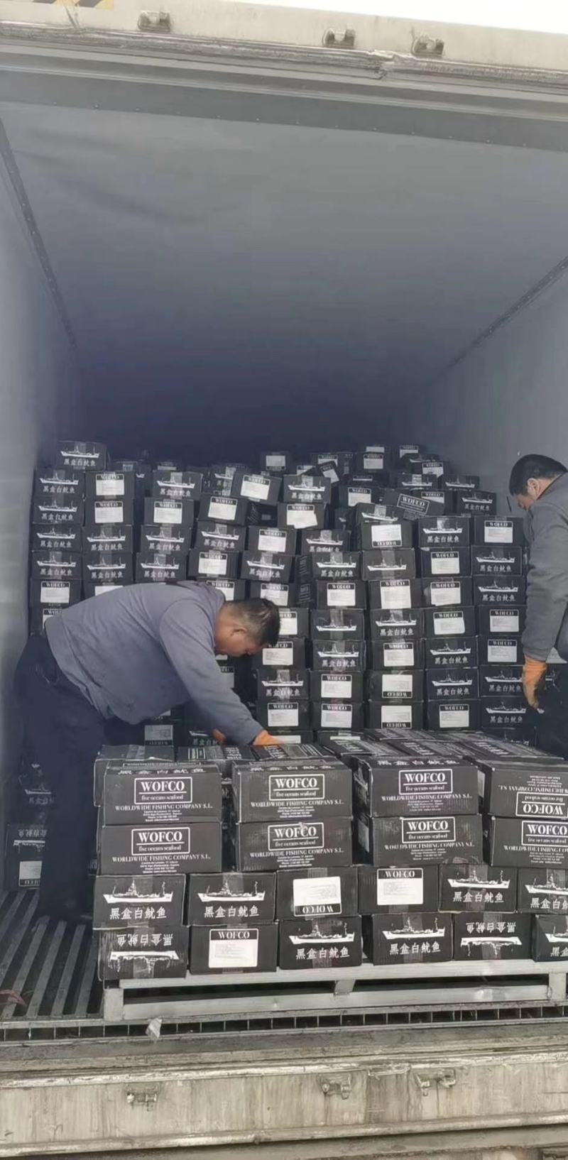 笔管鱼《小黑盒》20%带籽率，个头大鲜度好籽乌