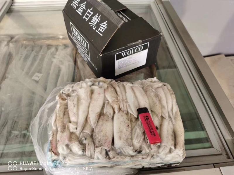 笔管鱼《小黑盒》20%带籽率，个头大鲜度好籽乌
