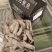 笔管鱼《小黑盒》20%带籽率，个头大鲜度好籽乌
