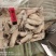 笔管鱼《小黑盒》20%带籽率，个头大鲜度好籽乌