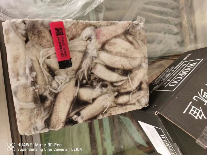 笔管鱼《小黑盒》20%带籽率，个头大鲜度好籽乌