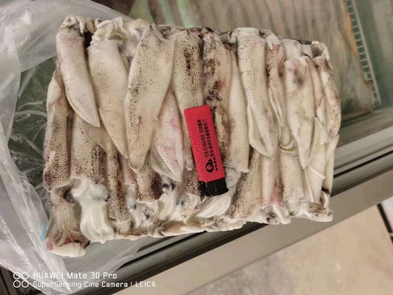 笔管鱼《小黑盒》20%带籽率，个头大鲜度好籽乌