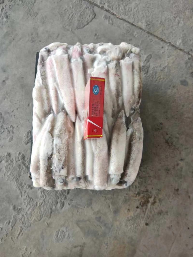 笔管鱼《小黑盒》20%带籽率，个头大鲜度好籽乌