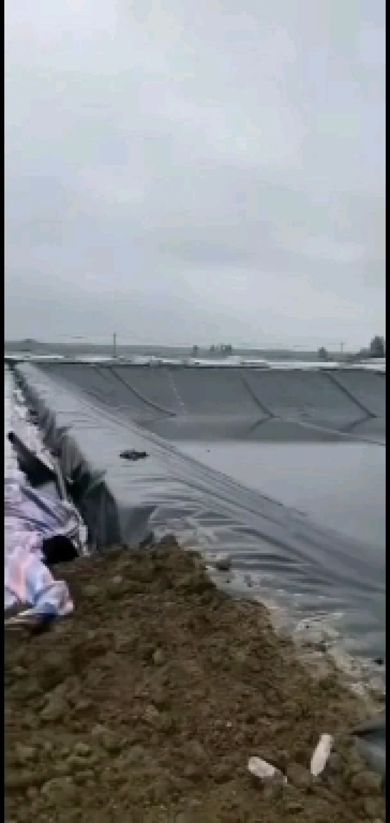 尾矿土工膜防渗布养殖膜游泳池化工池沼气池化粪池垃圾填埋场