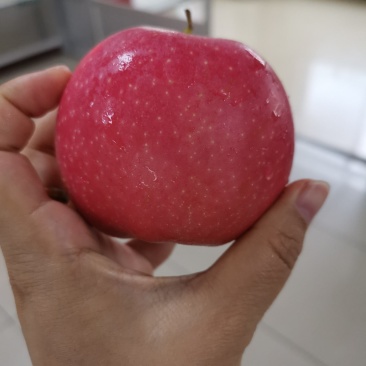 嘎啦苹果辽南全红甜脆
