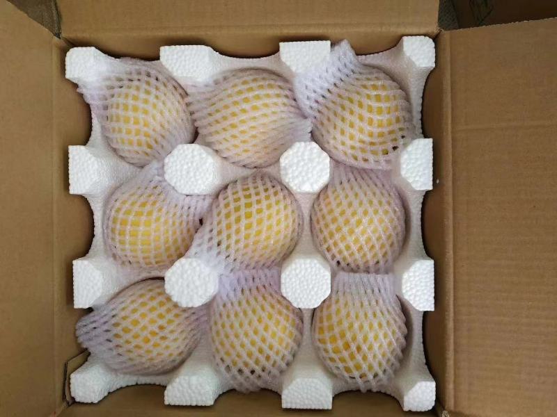 【热卖中】陕西礼泉老树黄桃大量上市中品种齐全大量批发