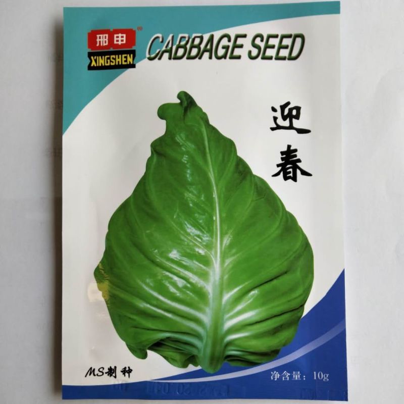 甘蓝种子牛心甘蓝种子，春丰甘蓝.种子春秋播种品种