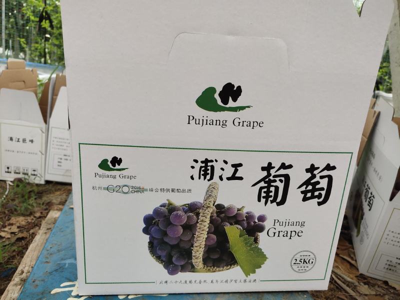 浦江巨峰葡萄正在热卖中，爆甜，爆甜，吃了回味一年。