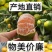 湖北柑橘特早蜜桔果大皮薄纯甜化渣一手货源批发