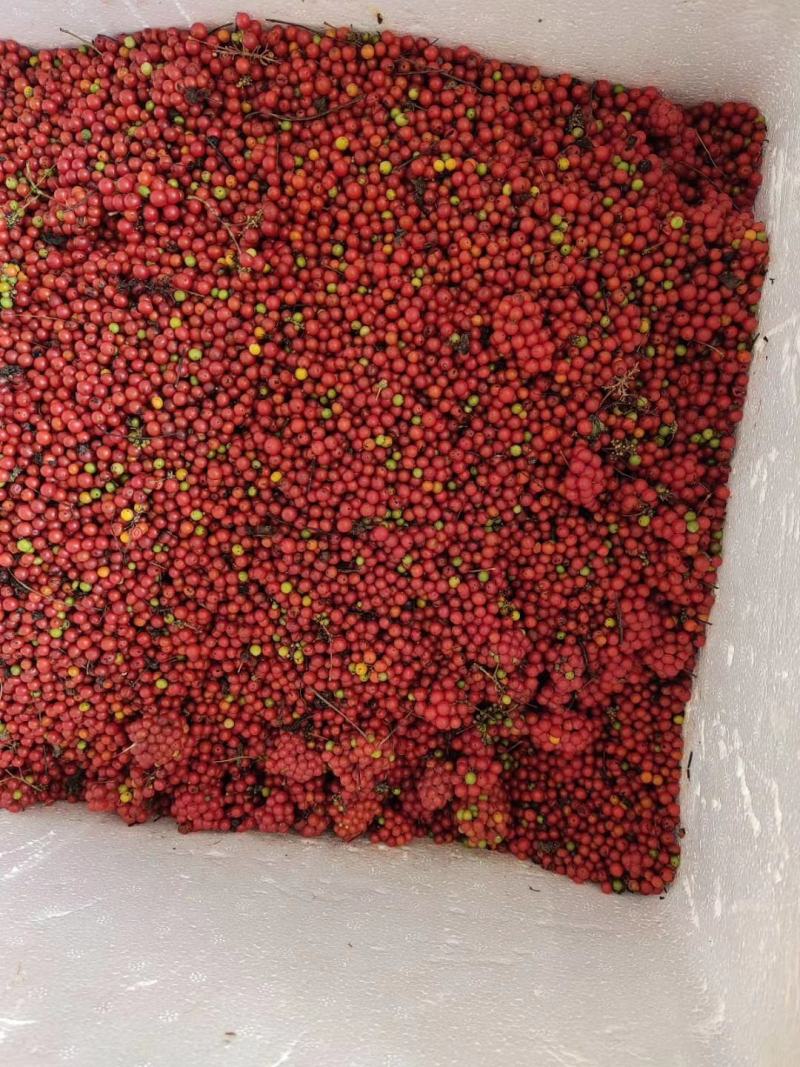 粉防己种苗基地种植一手货源，收购加工种植育苗技术