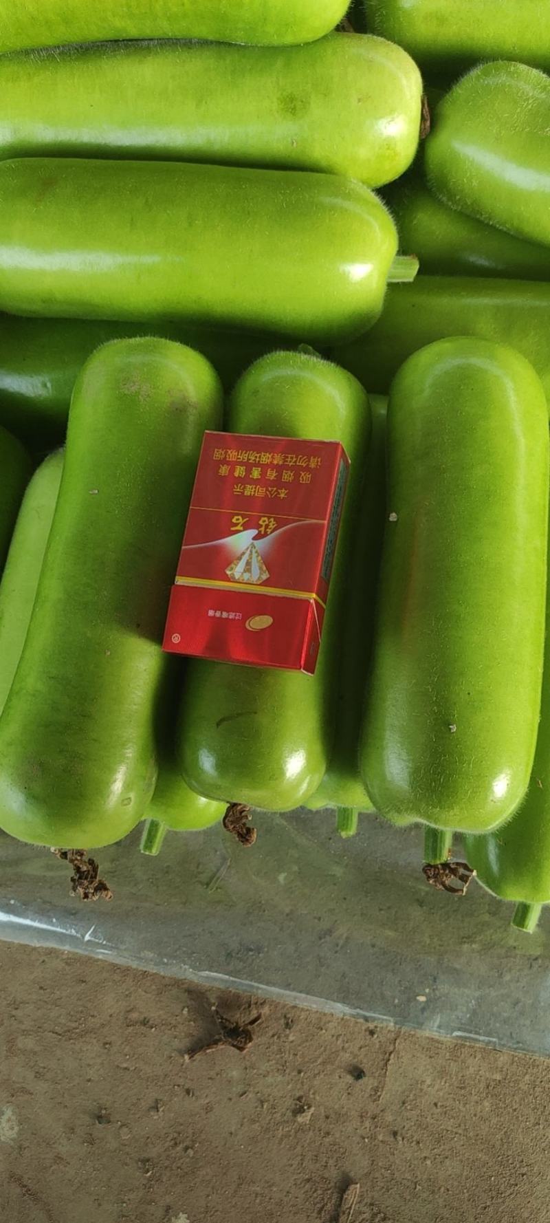 精品，瓠子，质量不错，可以视频看货，
