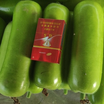 精品,瓠子,质量不错,可以视频看货,