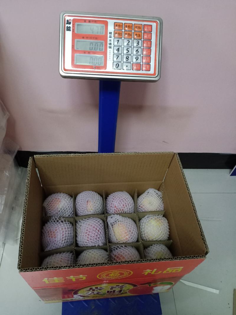 【包邮】精品万荣纸袋花冠苹果脆甜多汁颜色嫩红亮果园现摘现发