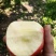 【包邮】精品万荣纸袋花冠苹果脆甜多汁颜色嫩红亮果园现摘现发