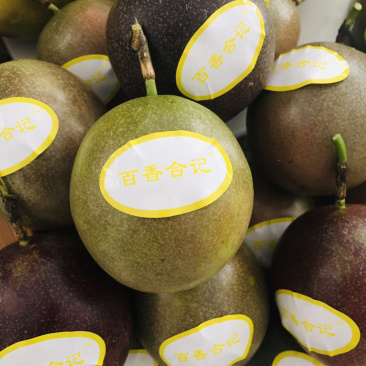 百香合记百香果上市了，价格美丽，欢迎老板来批发