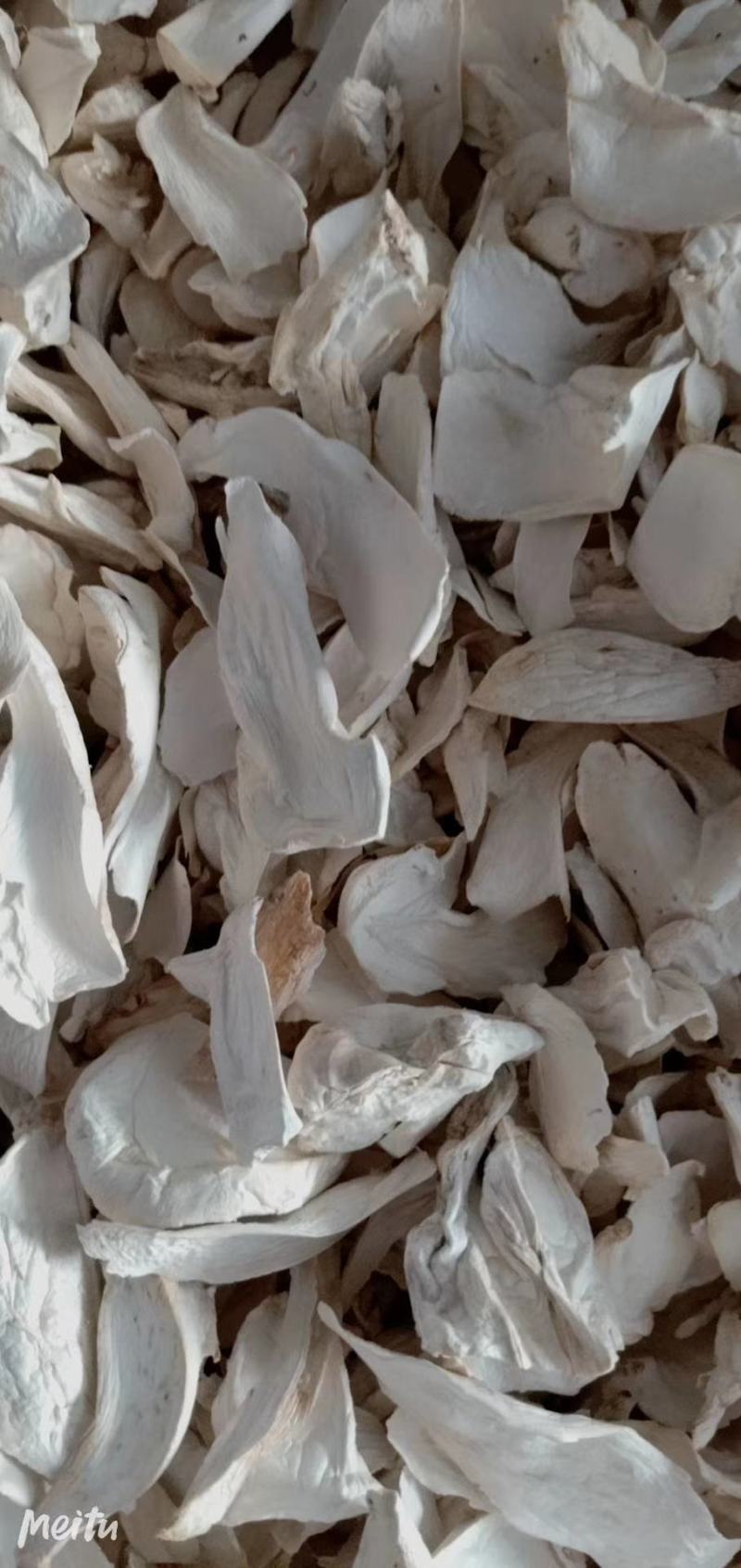 新货杏鲍菇片一手货源原产地供货质量好价格美丽