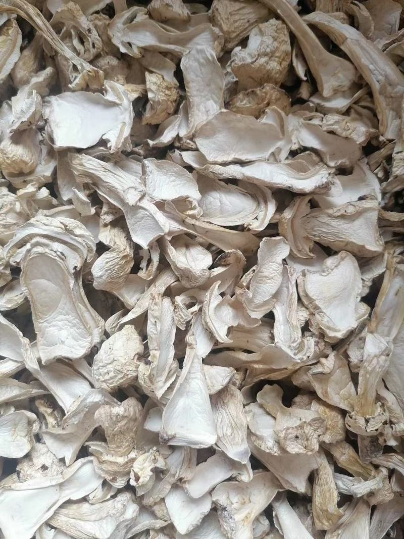 新货杏鲍菇片一手货源原产地供货质量好价格美丽