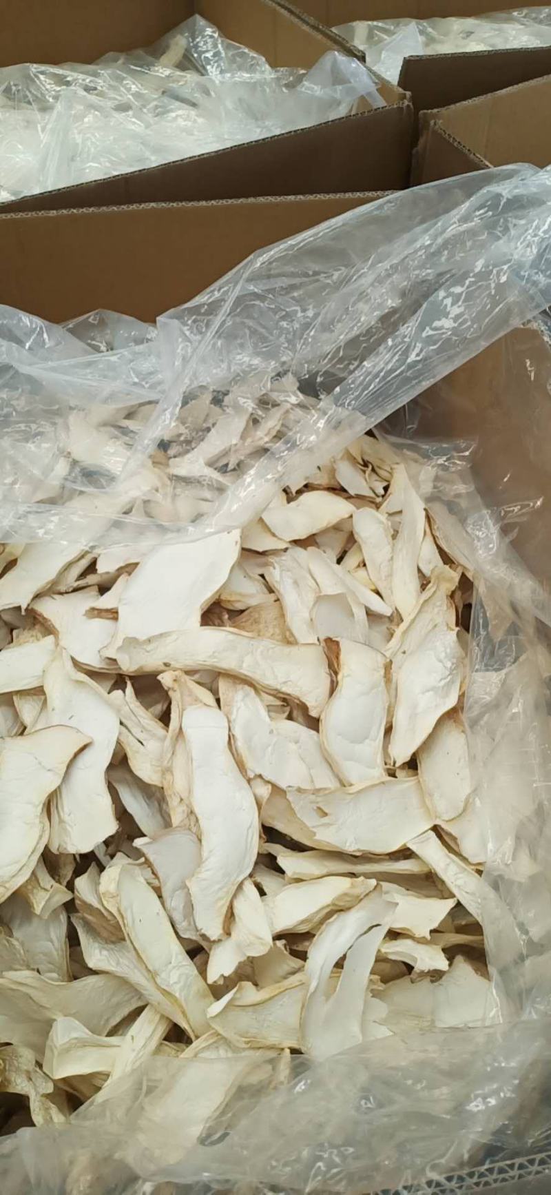 新货杏鲍菇片一手货源原产地供货质量好价格美丽