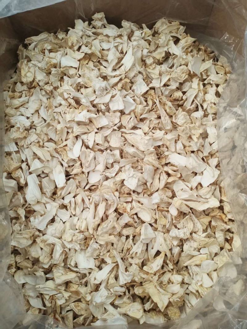 新货杏鲍菇片一手货源原产地供货质量好价格美丽