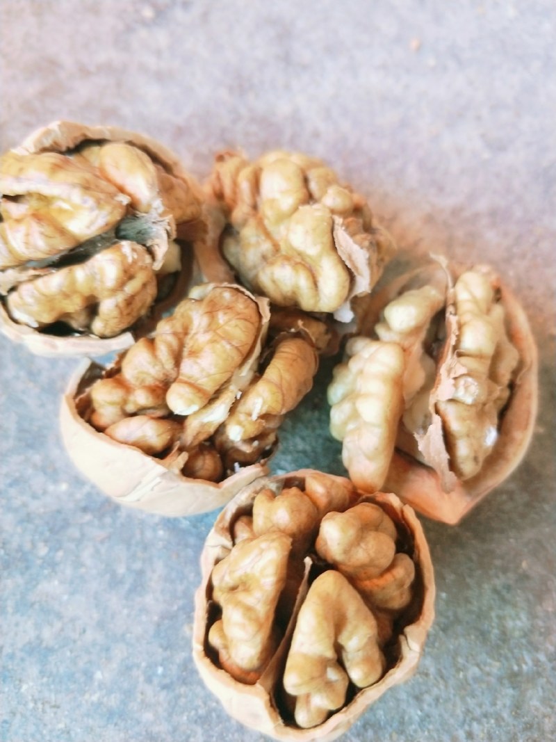 薄皮核桃，大量供应，价格便宜，质量高，产地直销……