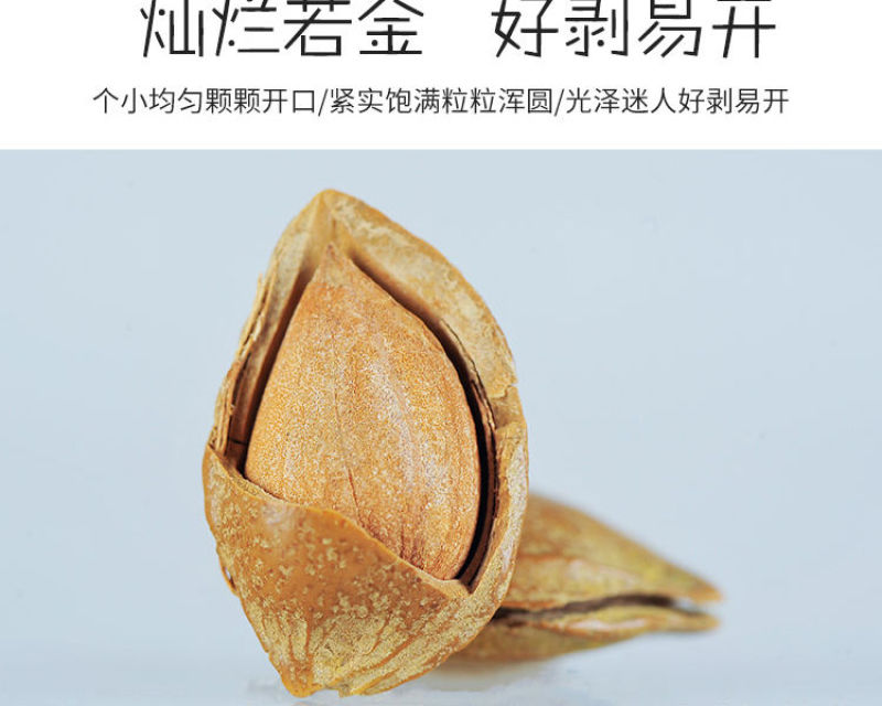 涿峰开口杏核坚果薄壳杏仁零食手剥开口杏核小白杏包邮