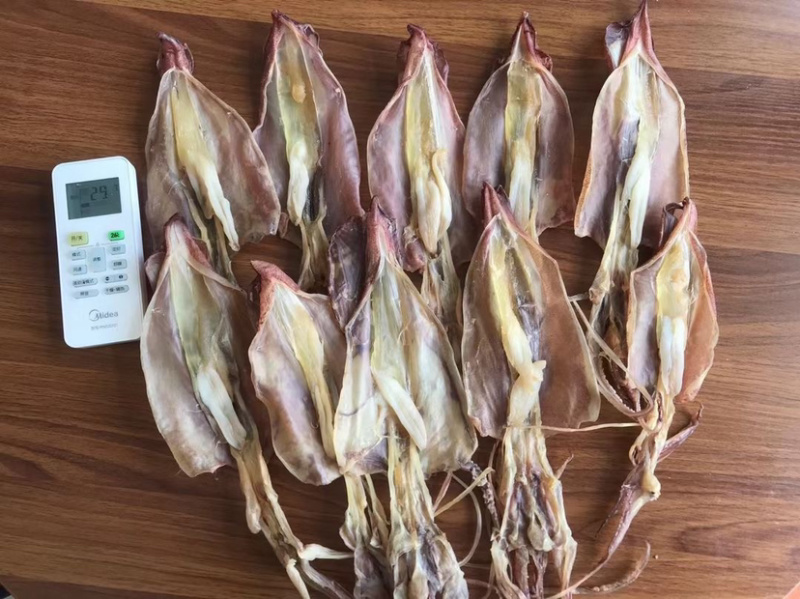 鱿鱼母本港个个带卵各个带卵