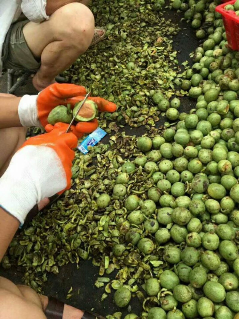 薄皮核桃，大量供应，产地直销，价格便宜，质量高